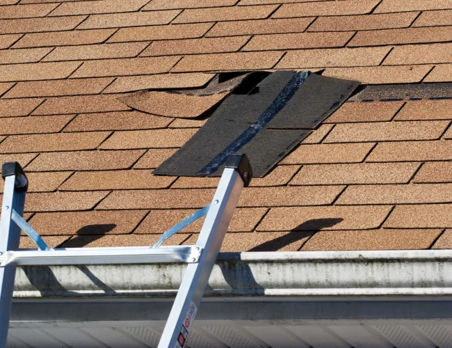 Roof Damage Repair