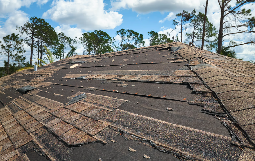 Roof Damage Repair